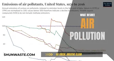 Air Pollution: Degrees of Danger