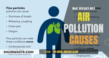 Air Pollution's Impact: Unveiling the Hidden Health Hazards