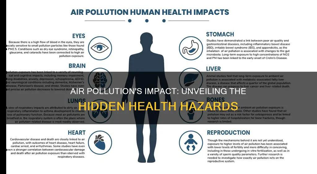 what deseases does air pollution causes