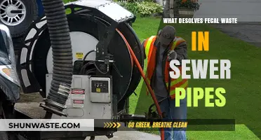 Effective Methods to Dissolve Fecal Waste in Sewer Pipes