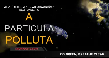 How Organisms Respond to Pollutants