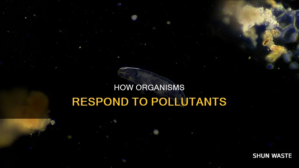 what determines an organism