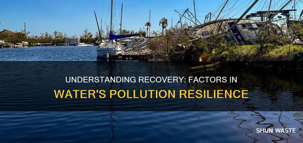 what determines how a body of water recovers from pollution