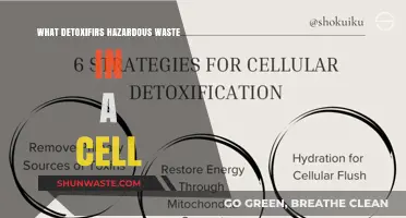 Nature's Cleanup Crew: Detoxifying Hazardous Waste in Cells