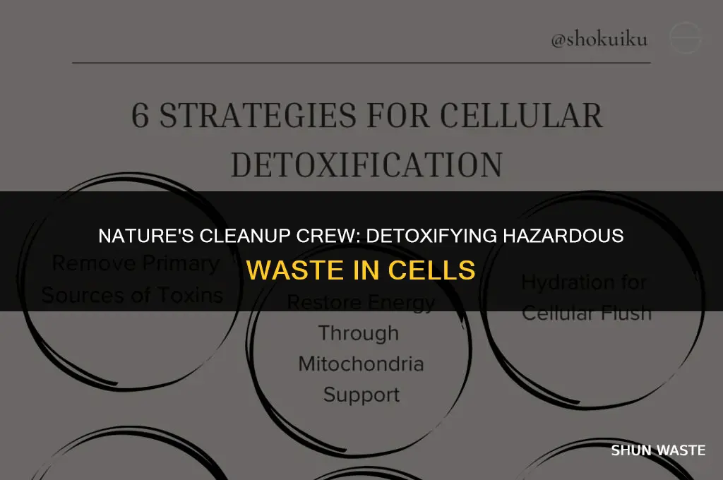 what detoxifirs hazardous waste in a cell