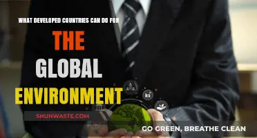 Sustainable Leadership: How Developed Nations Can Drive Global Environmental Change