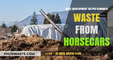 Revolutionizing Urban Transit: The Innovation That Ended Horsecars' Waste Crisis