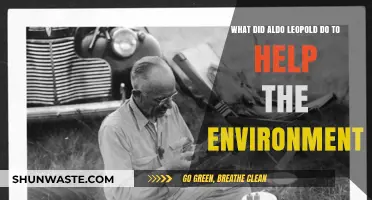 Aldo Leopold's Legacy: Pioneering Conservation Efforts for a Greener Earth