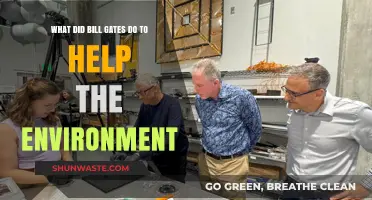 Bill Gates' Environmental Impact: Sustainable Innovations and Green Initiatives