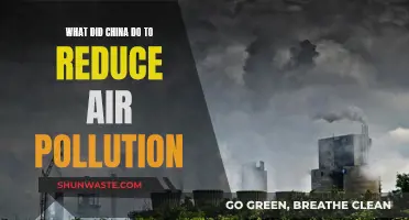 China's War on Air Pollution: Strategies and Successes
