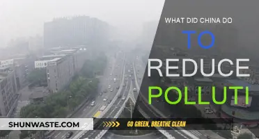 China's Anti-Pollution Strategies: Successes and Challenges