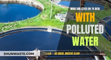 Urban Solutions: How Cities Tackle Water Pollution