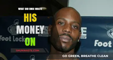 DMX's Financial Downfall: Lavish Spending and Mismanaged Wealth Explored