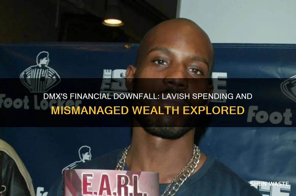 what did dmx waste his money on