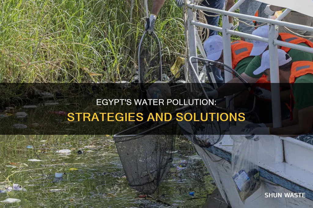 what did egypt do for water pollution