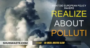 European Policy Makers: Pollution's Realization