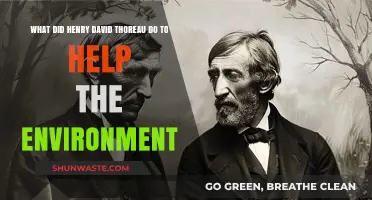 Thoreau's Environmental Legacy: Simple Living, Civil Disobedience, and Nature's Advocate