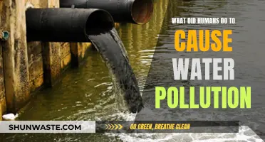 Human Activities: The Main Cause of Water Pollution