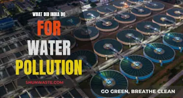 India's Water Warriors: Battling Pollution with Innovation and Policy