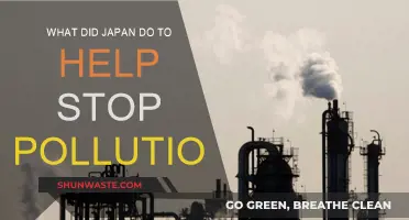 Japan's Anti-Pollution Efforts: Strategies and Impact