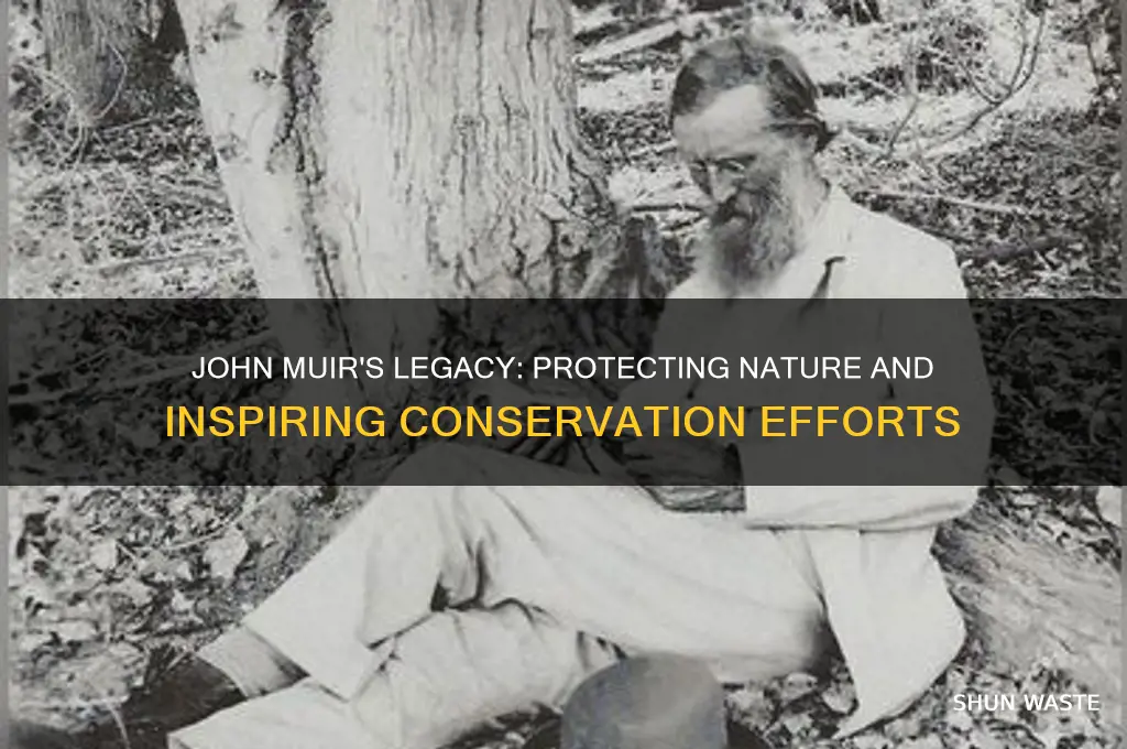 what did john muir do to help the environment