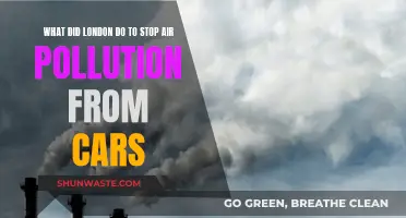 London's Fight Against Car Pollution