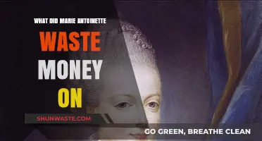 Marie Antoinette's Extravagant Spending: Luxuries, Follies, and Financial Waste