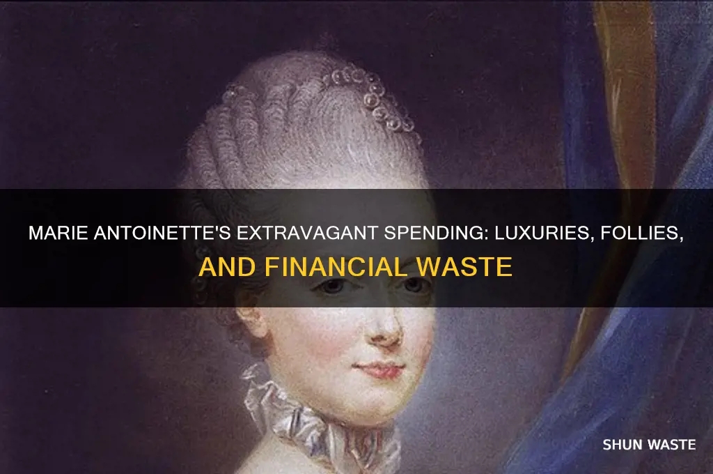 what did marie antoinette waste money on