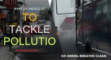 Mexico's Fight Against Pollution: Strategies and Successes