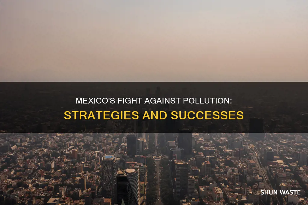 what did mexico do to tackle pollution