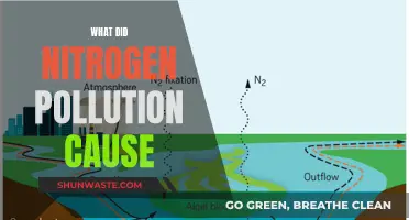 Nitrogen Pollution: A Hidden Environmental Crisis