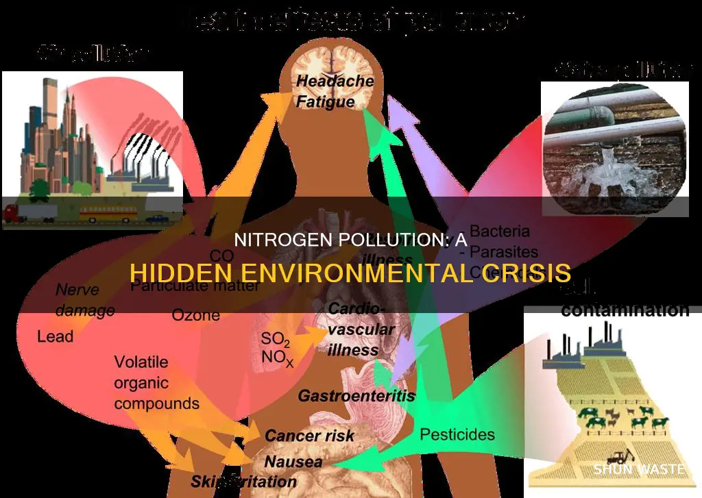 what did nitrogen pollution cause
