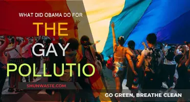 Obama's Impact: Gay Rights and Environmental Pollution