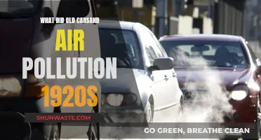 Cars and Air Pollution: The 1920s Story