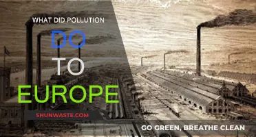 Europe's Pollution: A Historical Perspective