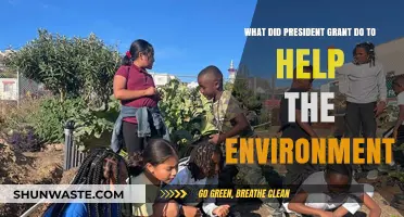 President Grant's Environmental Legacy: Conservation Efforts and Lasting Impact