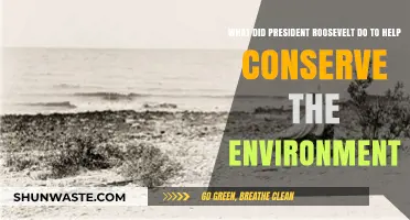 Roosevelt's Legacy: Pioneering Environmental Conservation Policies in America