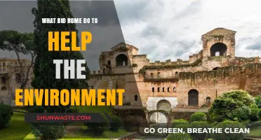 Rome's Green Legacy: Environmental Innovations of the Ancient Empire