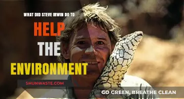 Steve Irwin's Legacy: Conservation Efforts and Environmental Impact