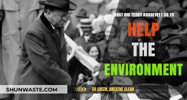 Teddy Roosevelt's Legacy: Pioneering Conservation Efforts and Environmental Impact