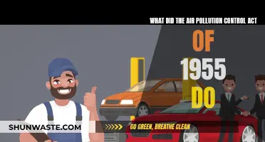 Air Pollution Control Act: 1955's Legacy