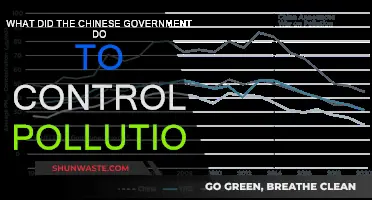 China's War on Pollution: Strategies and Successes