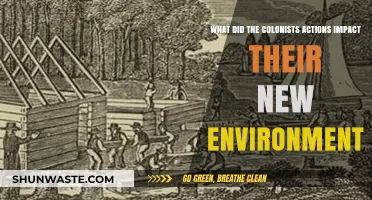 How Colonists' Actions Reshaped Their New Environment: Impacts and Consequences