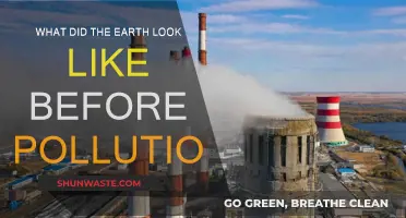 The Earth's Pristine Past: Before Pollution