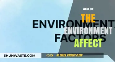 How Environmental Factors Shape Ecosystems, Health, and Human Societies