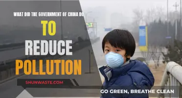 China's Anti-Pollution Efforts: Strategies and Results