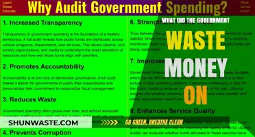 Taxpayer Dollars Squandered: Government Spending Gone Wrong