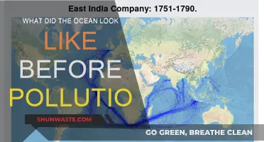 The Ocean's Pristine Past: A Pre-Pollution Paradise