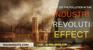 Industrial Revolution's Pollution: A Historical Impact