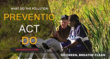 How the Pollution Prevention Act Changed the Game